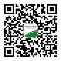 以您為尊牌鐵皮石斛